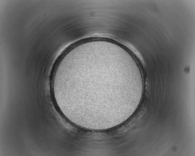 X0000100360972200807031834