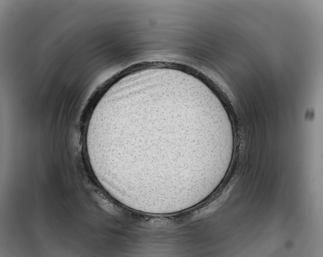 X0000100360974200807031834