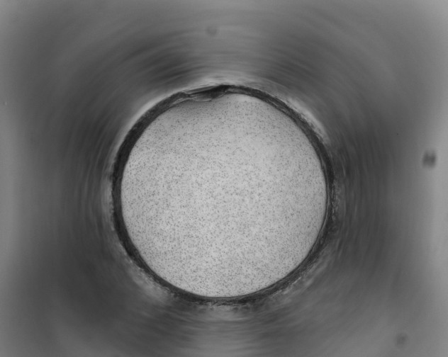 X0000100360976200807031834