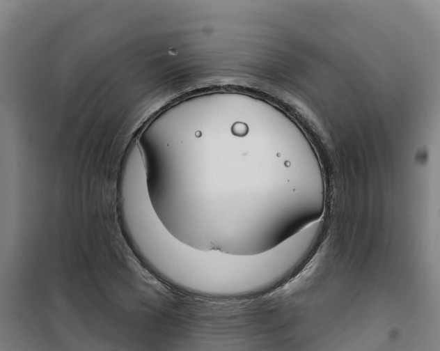 X0000100360977200807031834