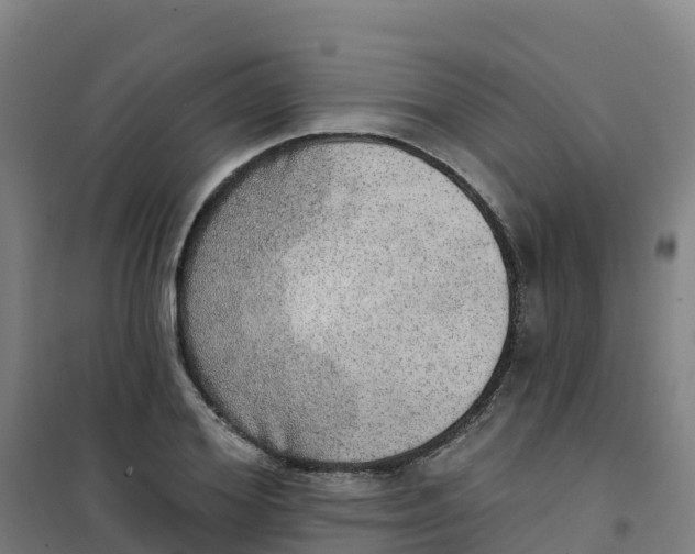 X0000100360980200807031834