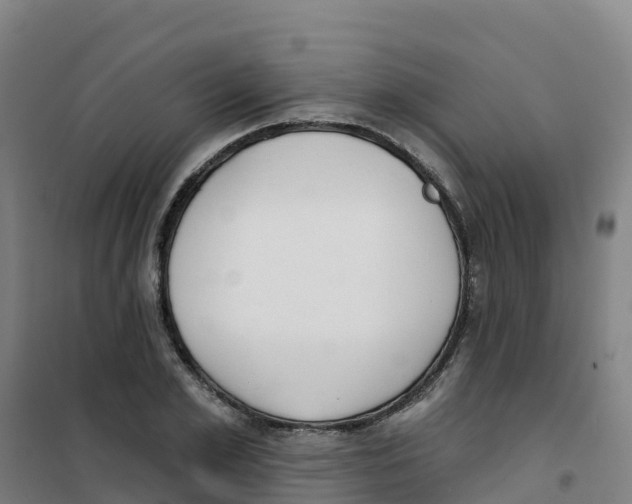 X0000100360981200807031834