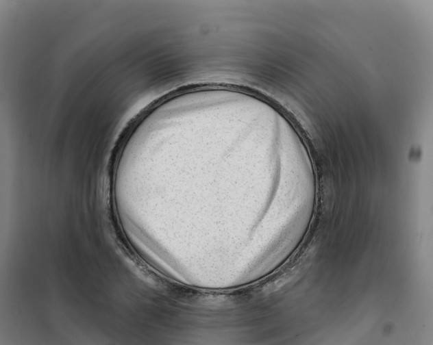 X0000100360982200807031834