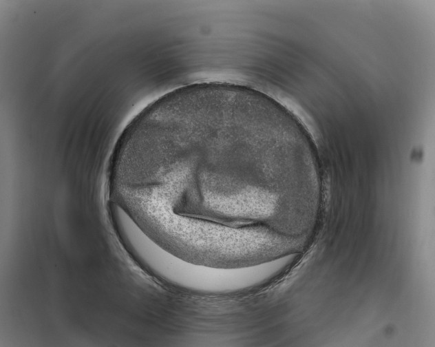 X0000100360983200807031834