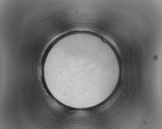 X0000100360984200807031834