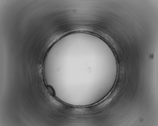 X0000100360985200807031834