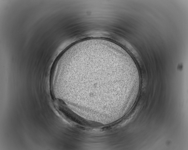 X0000100360986200807031834