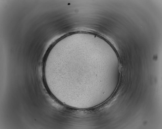 X0000100360987200807031834