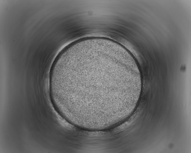 X0000100360988200807031834