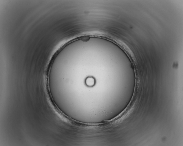 X0000100360989200807031834