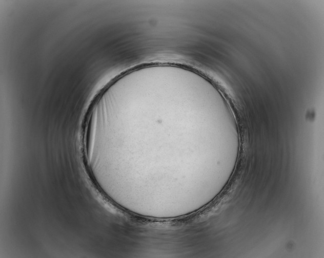 X0000100360990200807031834