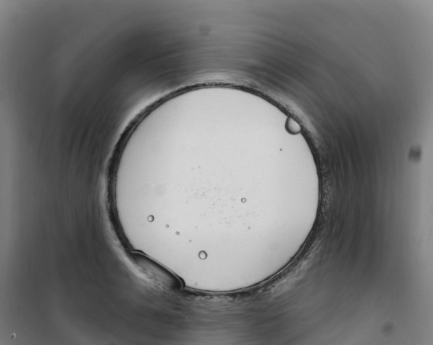 X0000100360991200807031834