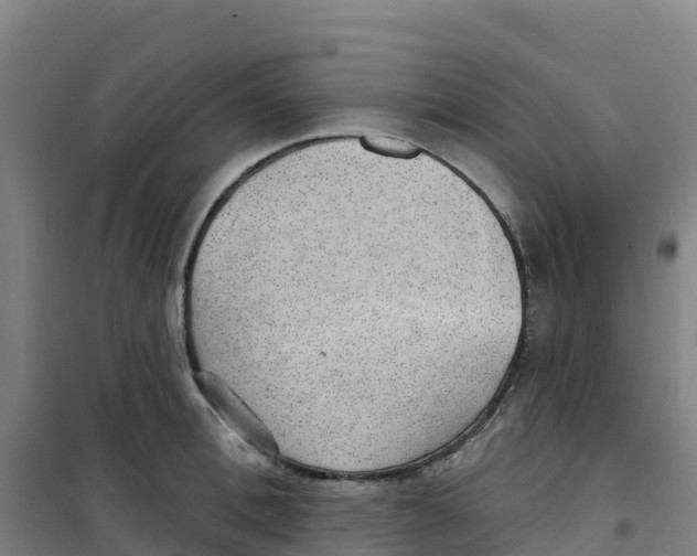 X0000100360996200807031834