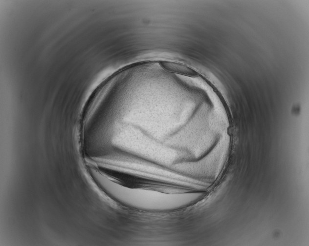 X0000100360997200807031834