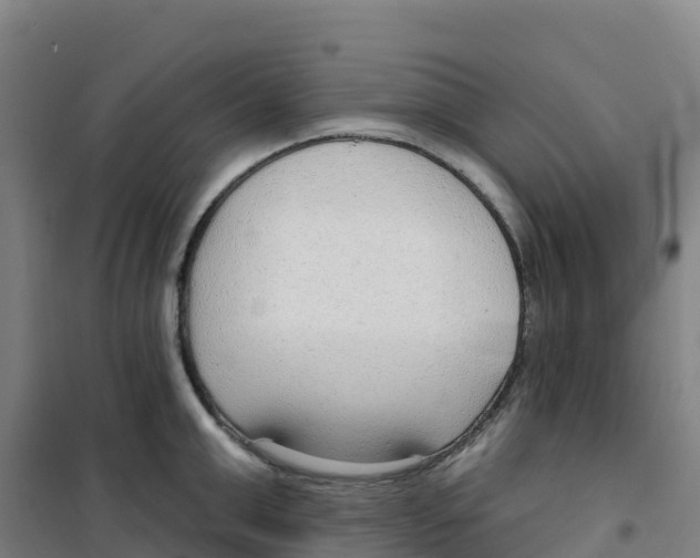 X0000100360999200807031834