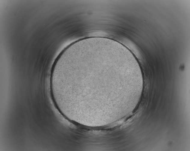 X0000100361000200807031834