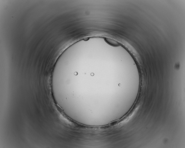 X0000100361001200807031834