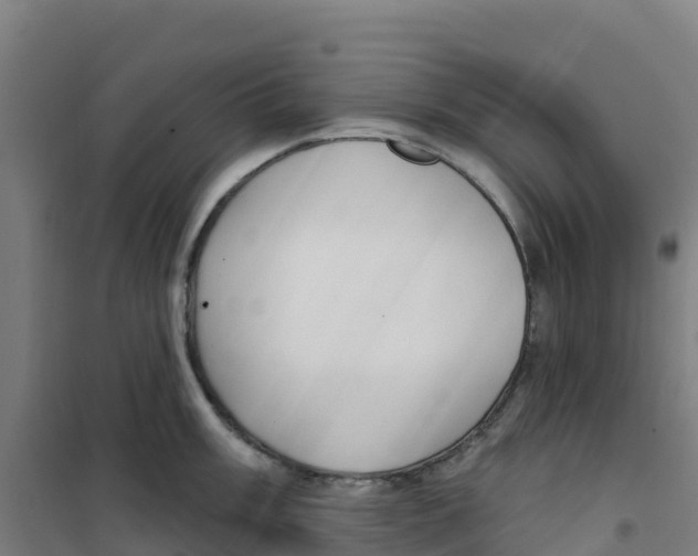 X0000100361003200807031833