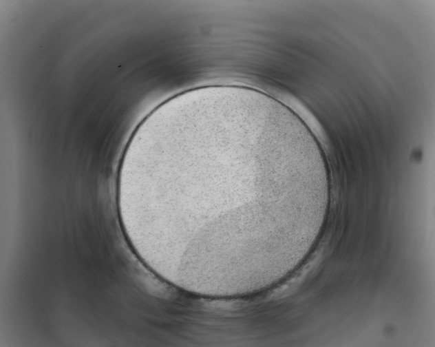 X0000100361004200807031833