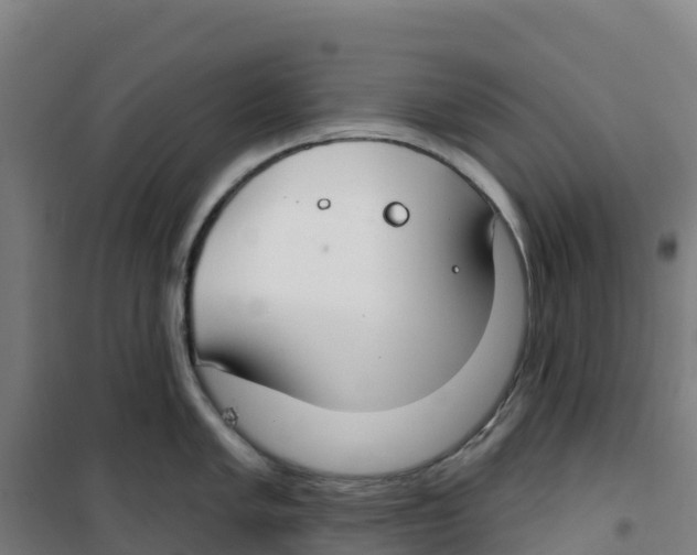 X0000100361005200807031833