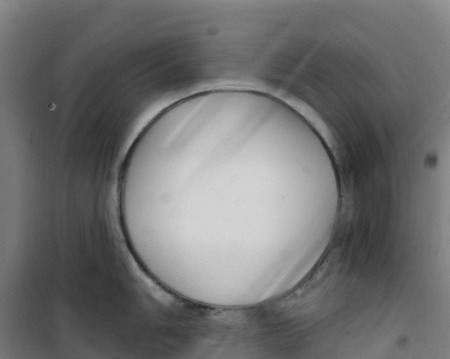 X0000100361006200807031833