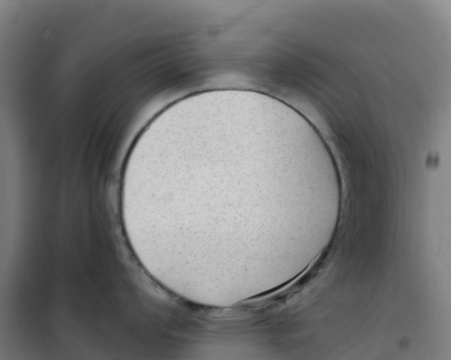 X0000100361008200807031833