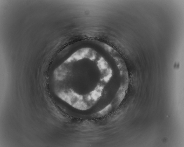 X0000100361009200807031833