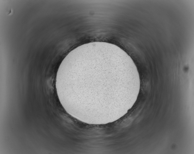 X0000100361010200807031833