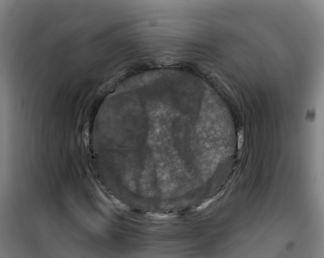 X0000100361011200807031833
