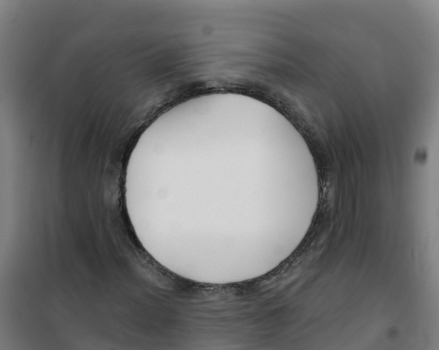 X0000100361012200807031833