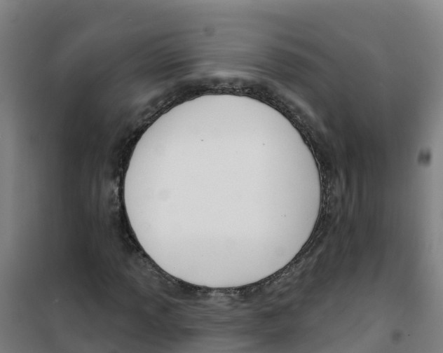 X0000100361013200807031833