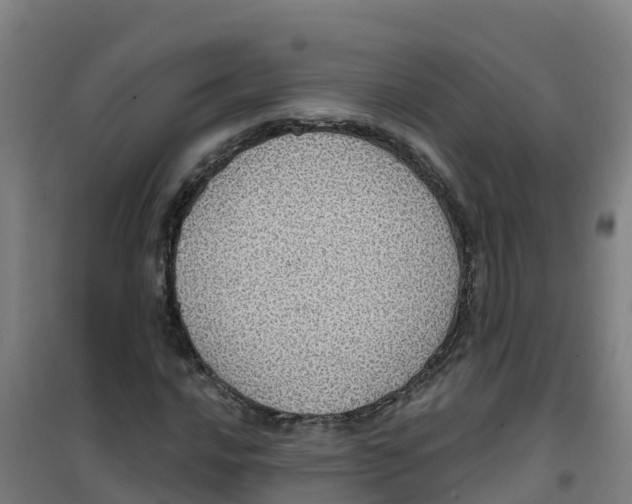 X0000100361016200807031833