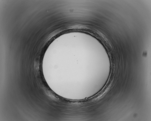 X0000100361017200807031833