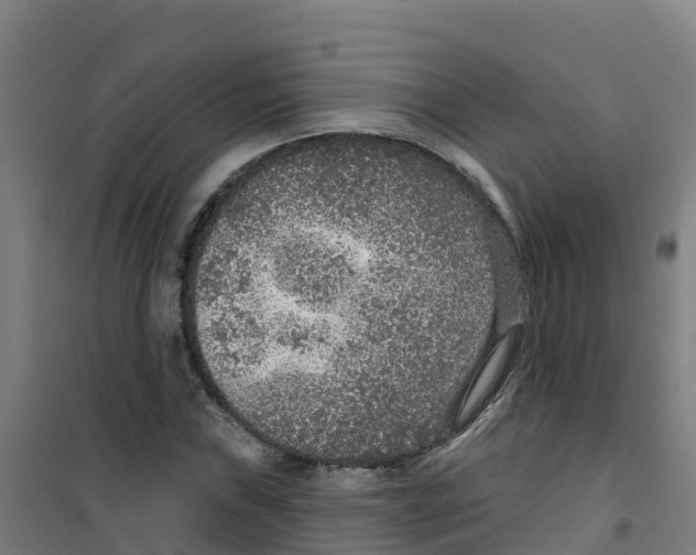 X0000100361019200807031833