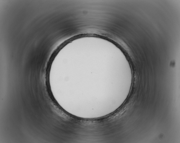 X0000100361020200807031833