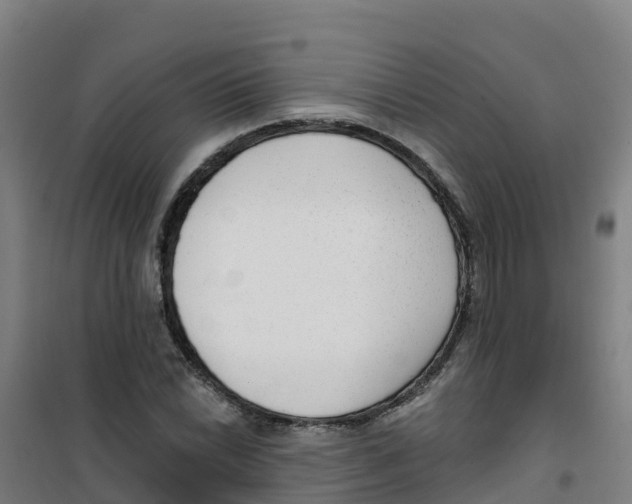 X0000100361022200807031833