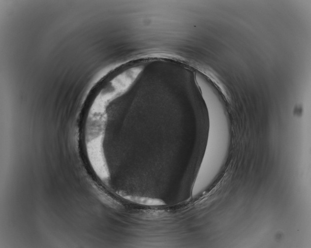 X0000100361024200807031833