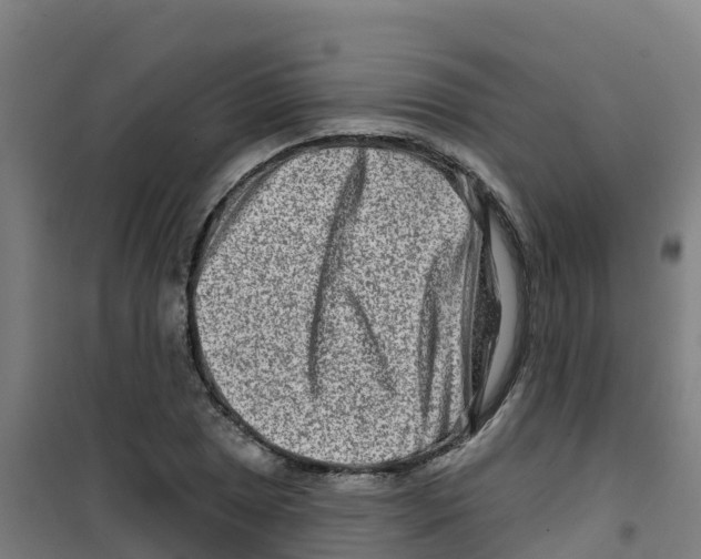 X0000100361025200807031833