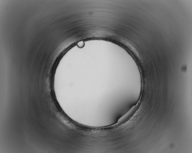 X0000100361026200807031833