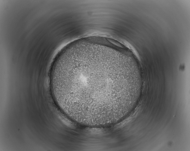 X0000100361027200807031833