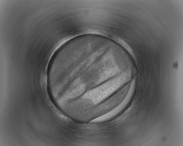 X0000100361028200807031833