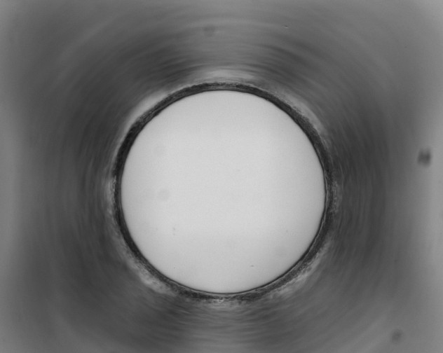 X0000100361029200807031833