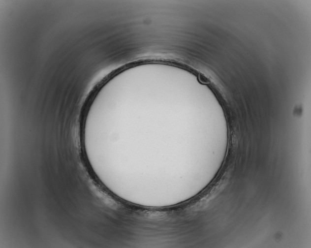 X0000100361030200807031833
