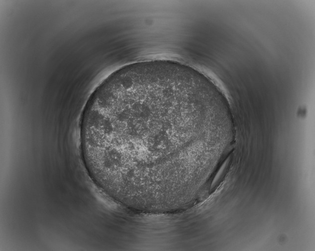 X0000100361031200807031833