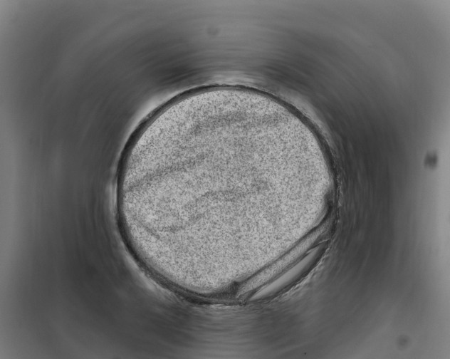 X0000100361032200807031833
