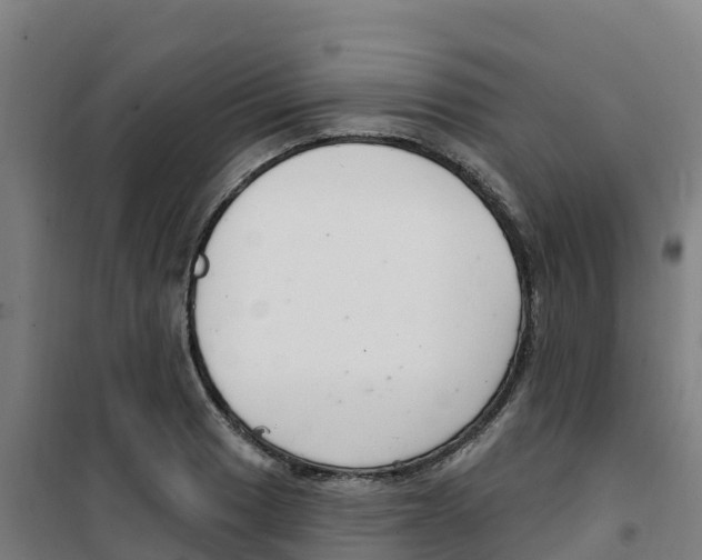 X0000100361033200807031833