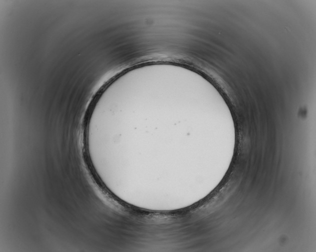X0000100361034200807031833