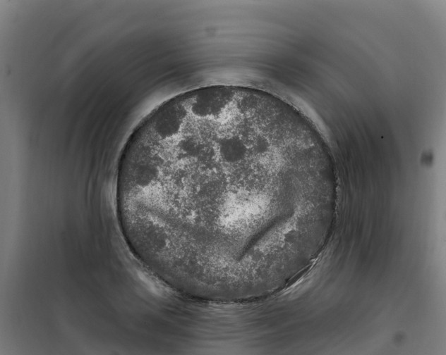 X0000100361035200807031833