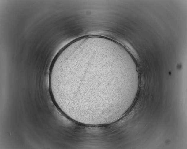 X0000100361036200807031833