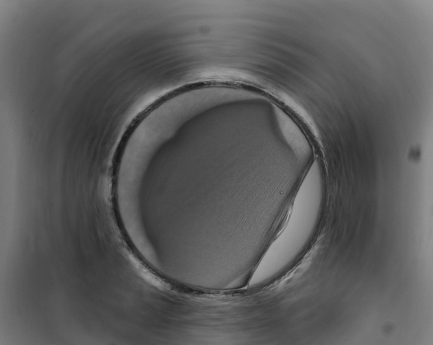 X0000100361037200807031833